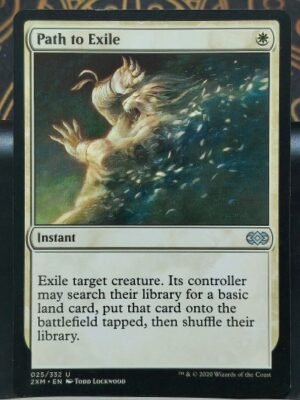 Path to Exile Magic The Gathering MTG - Auction